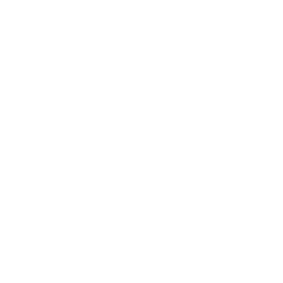 AmTrust